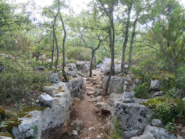 forêt paiolive ardèche bord de rivière