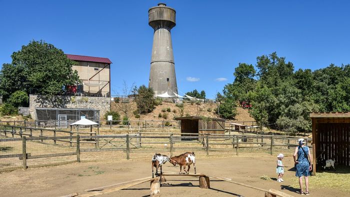 parc animalier gorges de l'ardèche